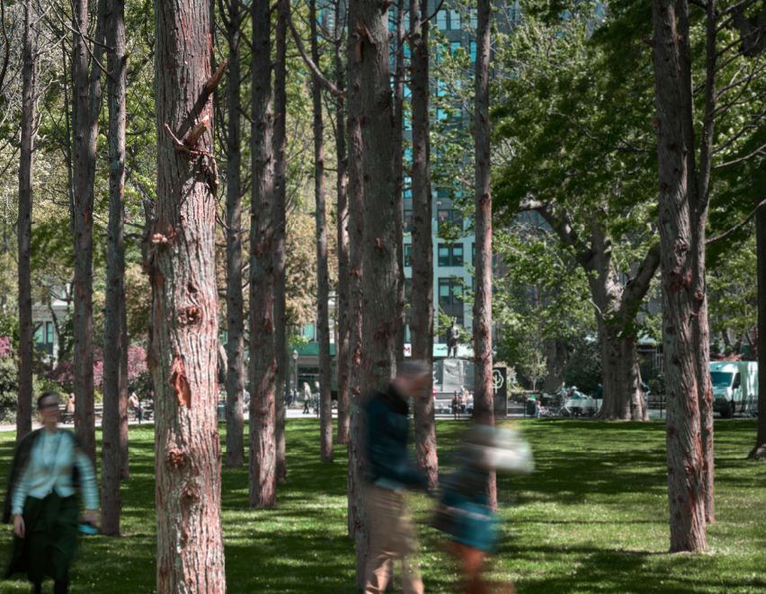 https://www.northshoredailypost.com/wp-content/uploads/2021/05/Ghost-Forest-by-Andy-Romer.jpg