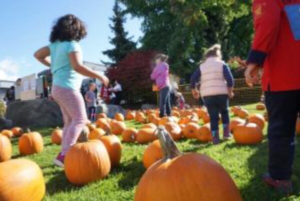 https://www.northshoredailypost.com/wp-content/uploads/2022/10/PumpkinFest-600x403.jpg