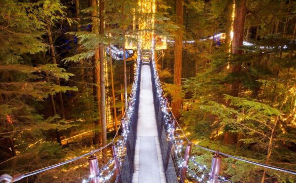 https://www.northshoredailypost.com/wp-content/uploads/2022/11/Capilano-lights-600x371.jpg