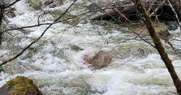 https://www.northshoredailypost.com/wp-content/uploads/2024/01/raging-river-in-south-coast-600x314.jpg
