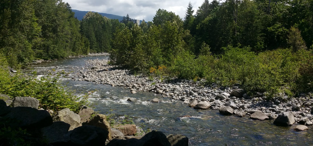 https://www.northshoredailypost.com/wp-content/uploads/2024/06/capilano-river.png