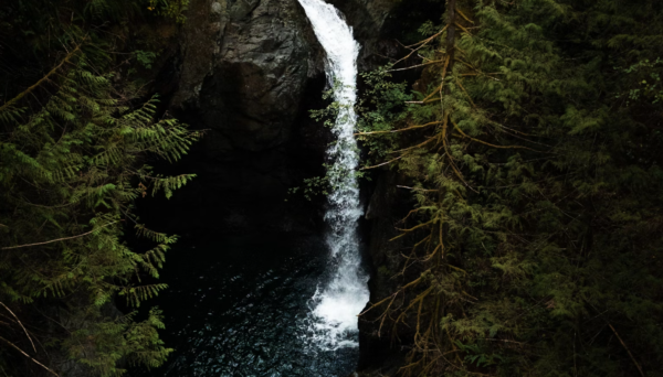 https://www.northshoredailypost.com/wp-content/uploads/2024/07/Lynn-Canyon-600x342.png