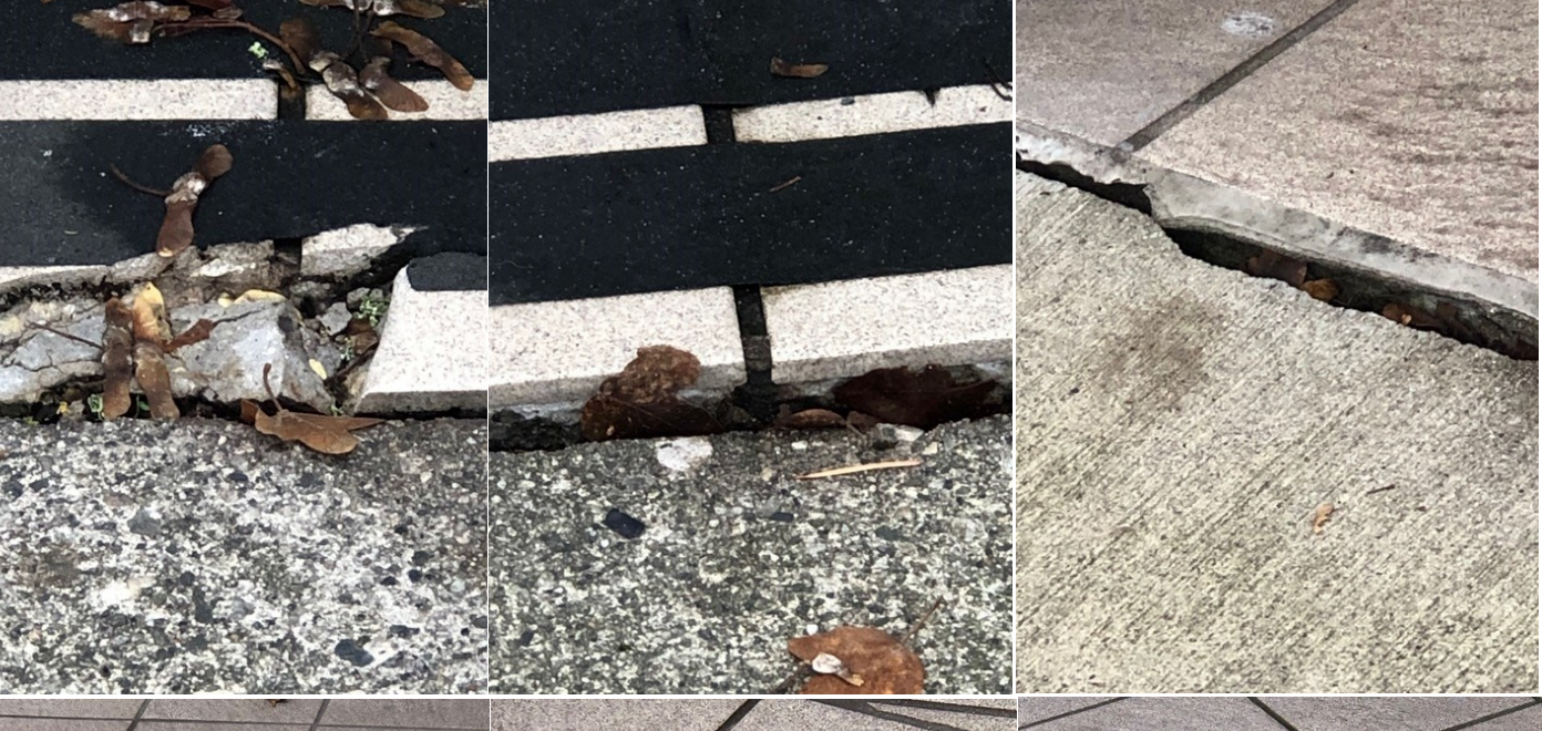 https://www.northshoredailypost.com/wp-content/uploads/2025/03/sinking-sidewalk.png