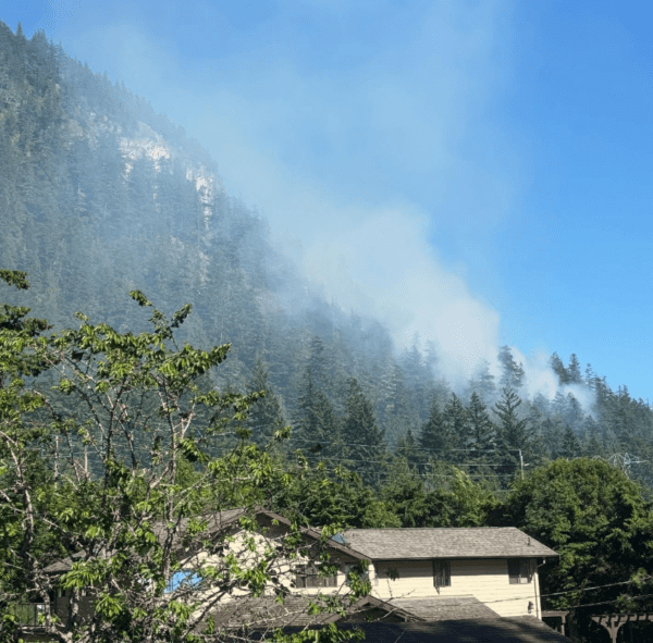 https://www.northshoredailypost.com/wp-content/uploads/2025/06/Squamish-forest-fire-photo-600x591.png