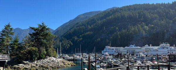 https://www.northshoredailypost.com/wp-content/uploads/2026/06/Horseshoe-Bay-Boathouse-West-Deck-ocean-view-600x240.jpg
