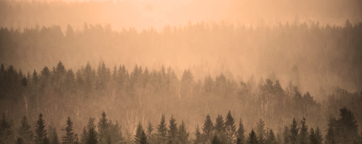 https://www.northshoredailypost.com/wp-content/uploads/2026/08/wildfire-smoke-air-quality-1.png