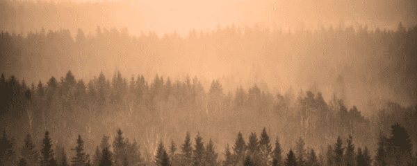 https://www.northshoredailypost.com/wp-content/uploads/2026/08/wildfire-smoke-air-quality-600x240.png